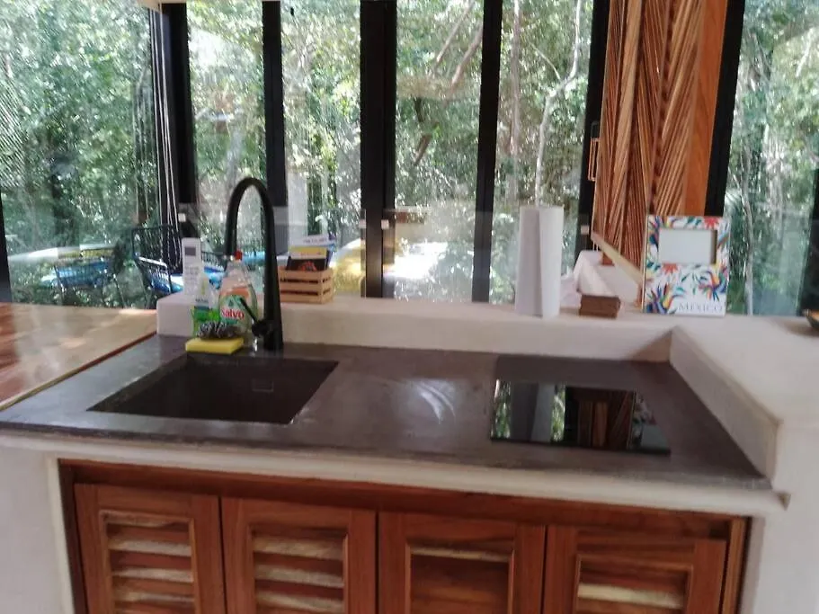 Апартаменты Reflective Jungle Treehouse With Plunge Pool Тулум 0*,  Мексика