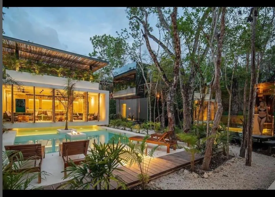 Апартаменты Reflective Jungle Treehouse With Plunge Pool Тулум