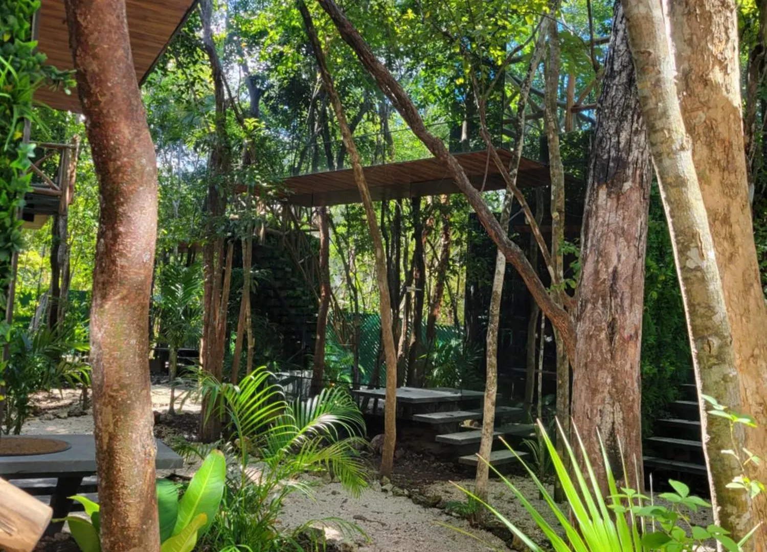 Апартаменты Reflective Jungle Treehouse With Plunge Pool Тулум 0*,  Мексика